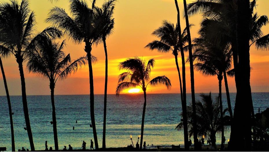 What Are the Top 5 Things to Do in Maui