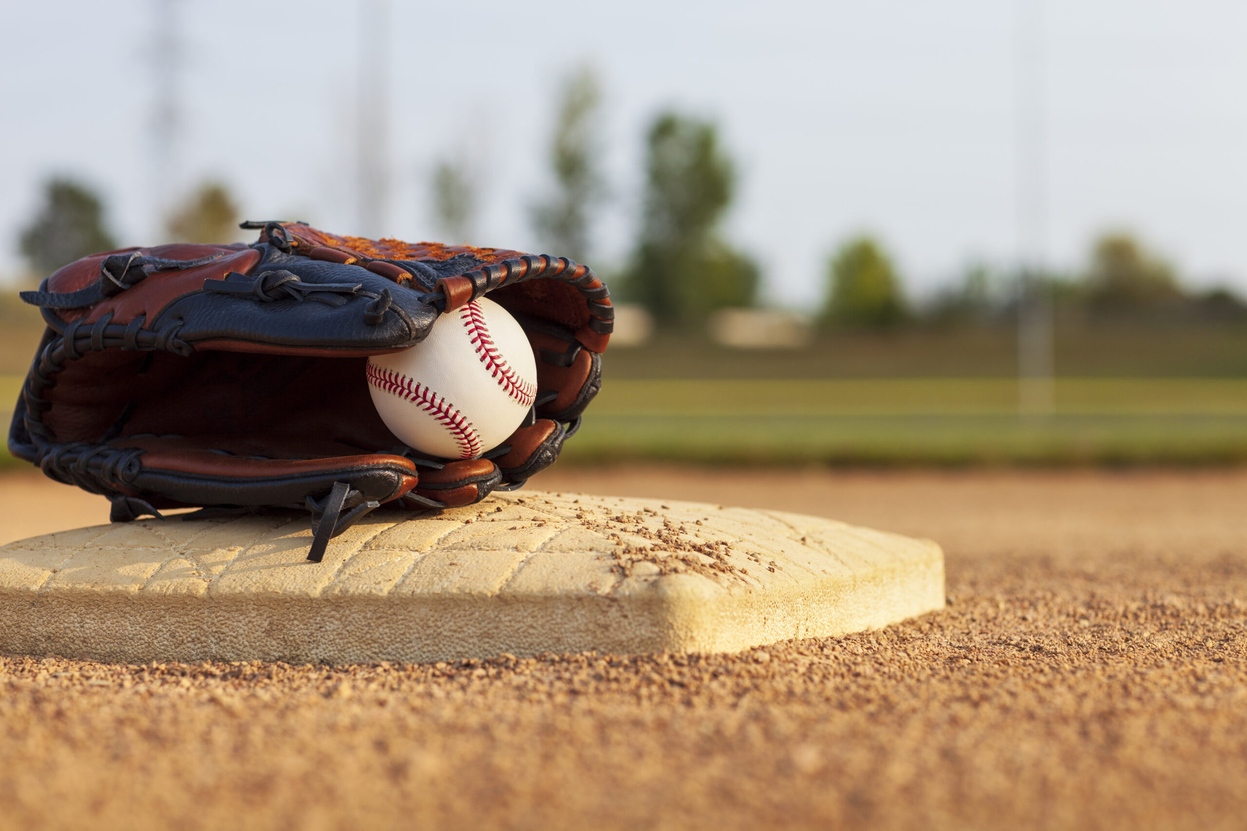 What Do the SFFarebaseball Statistics 2023 Tell Us